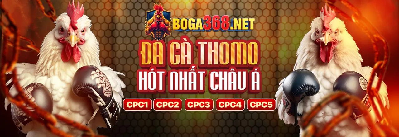 Biểu đồ tăng trưởng tài chính của chương trình đối tác N66