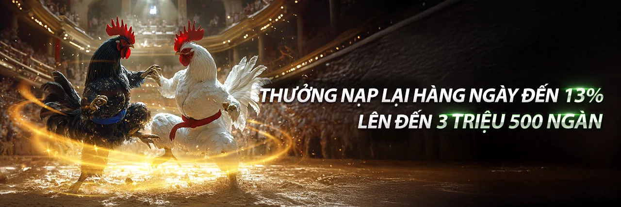 Đá Gà Trực Tuyến N66 - Trải nghiệm cá cược đỉnh cao