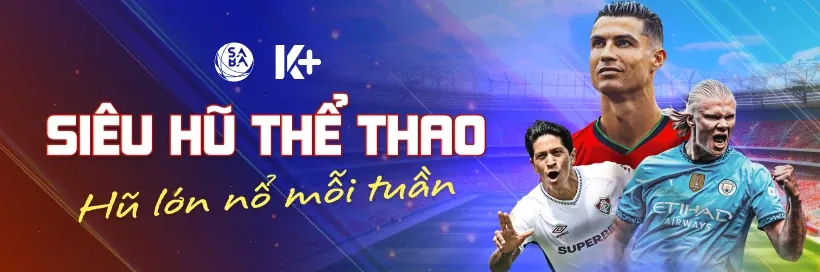 Hoàn Trả N66